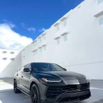 Bryan Exotics