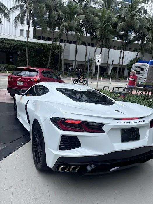 Bryan Exotics Picture 7