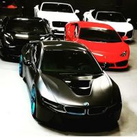 Exotic Rides Of Miami ico