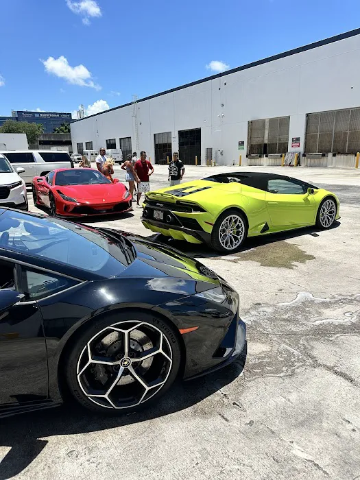 South Beach Exotic Rentals Picture 6