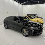 South Beach Exotic Rentals