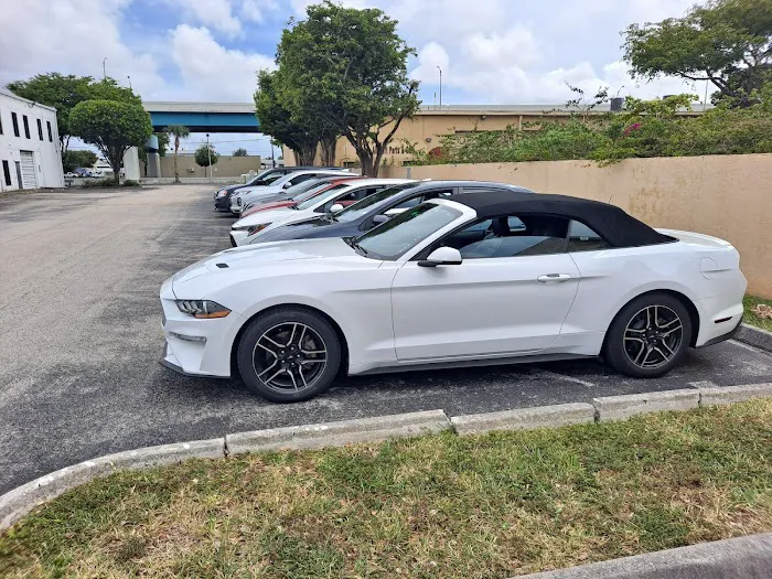 Yep Car Rental Picture 1