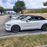 Yep Car Rental ico