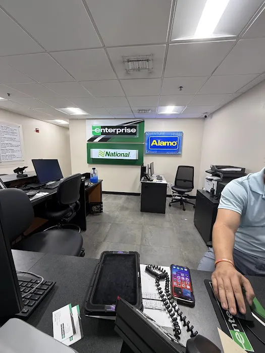 Alamo Rent A Car Picture 4