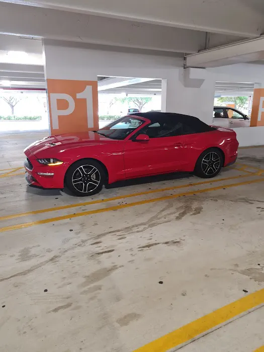 Alamo Rent A Car Picture 1