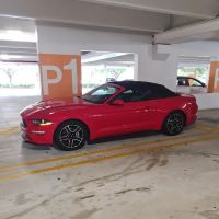 Alamo Rent A Car ico