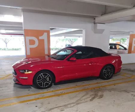 Alamo Rent A Car