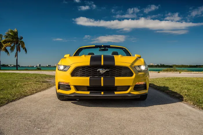 RENT A CARS Picture 1