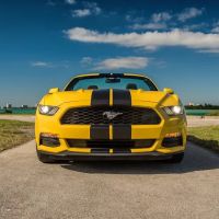 RENT A CARS ico