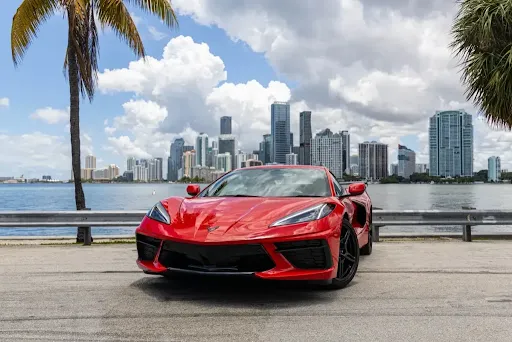 NexGen Luxury Miami Picture 3