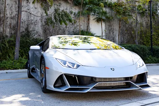 NexGen Luxury Miami Picture 4