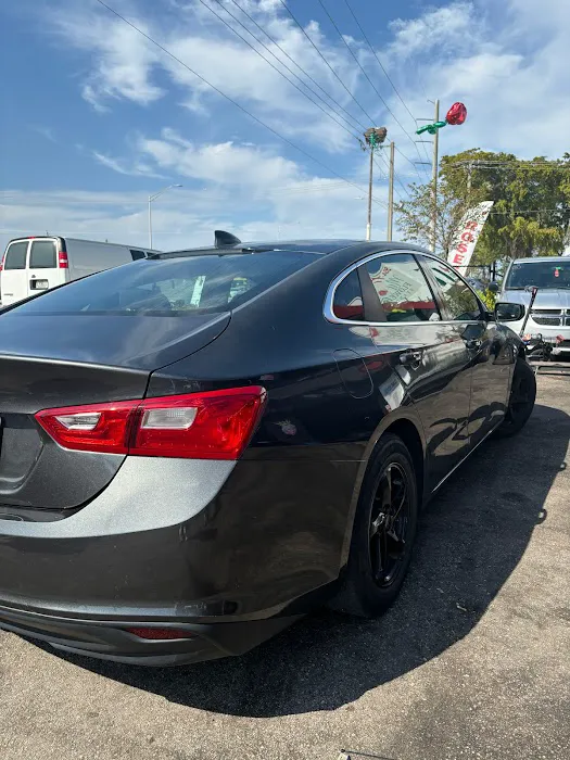 Easy car rentals Picture 1
