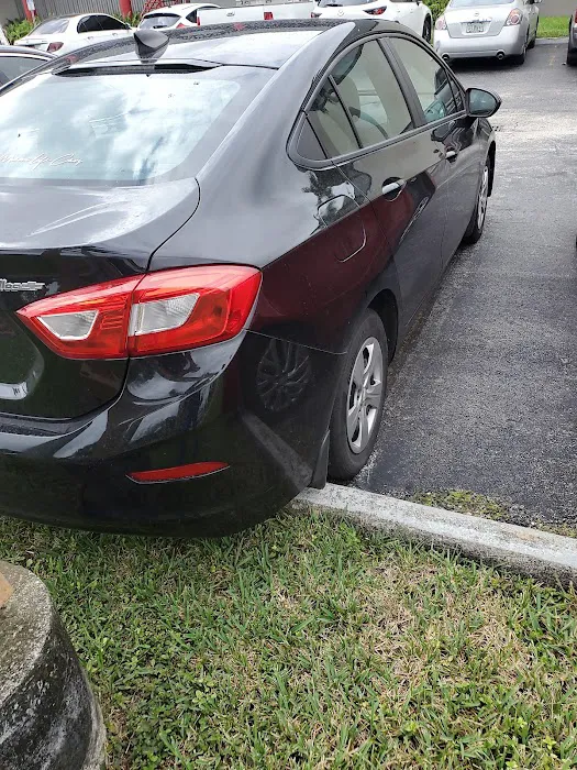 Miami Life Cars Picture 3