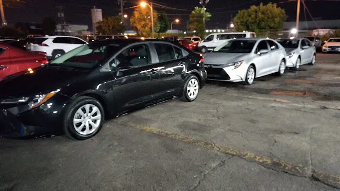 Miami Life Cars Picture 4