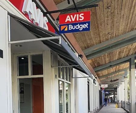 Avis Car Rental