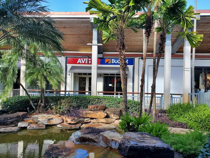 Avis Car Rental Picture 2
