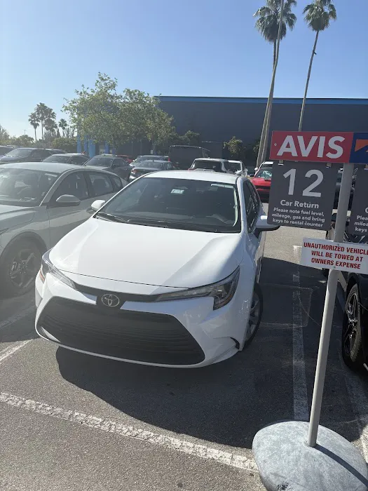 Avis Car Rental Picture 3