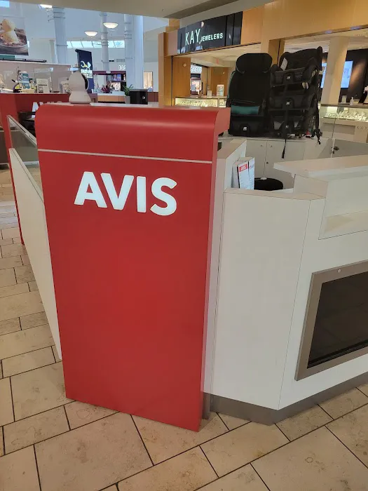 Avis Car Rental Picture 7