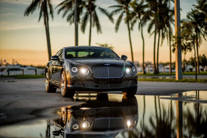 Exotic Car Rental Miami Picture 5