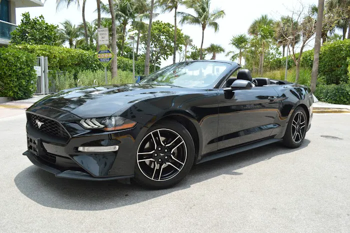 Miami Beach Next Car Rental -Miami Beach Picture 3