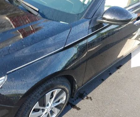 Avis Car Rental