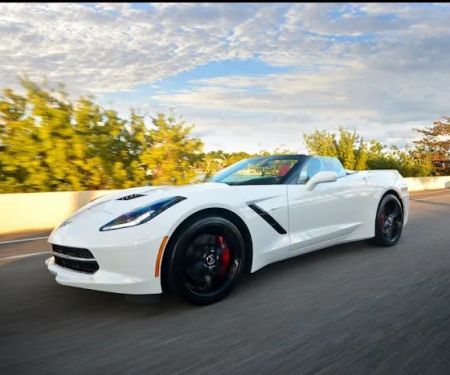 SOBE Exotic Rental
