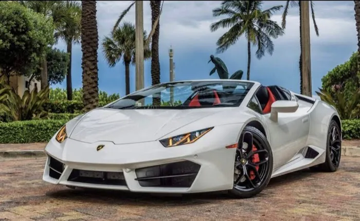 SOBE Exotic Rental Picture 9