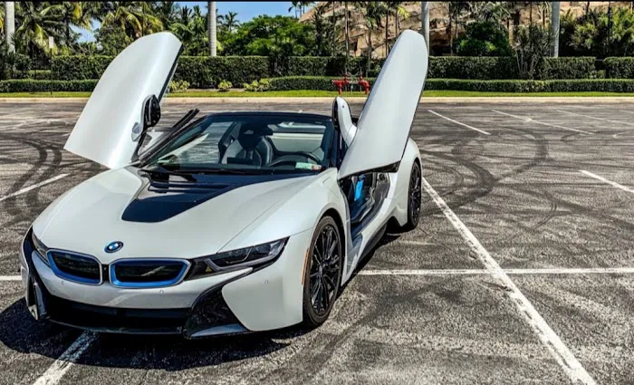 SOBE Exotic Rental Picture 4