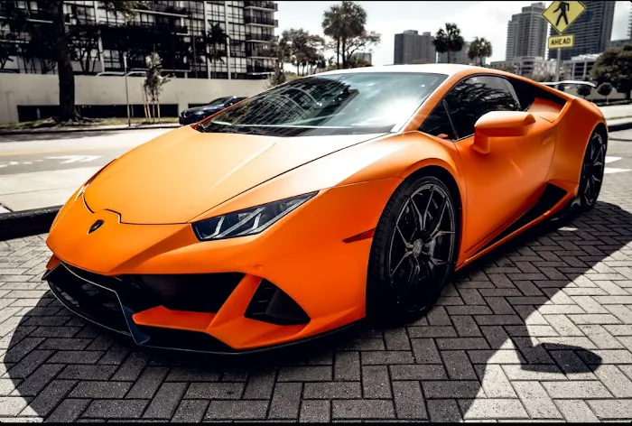 SOBE Exotic Rental Picture 5