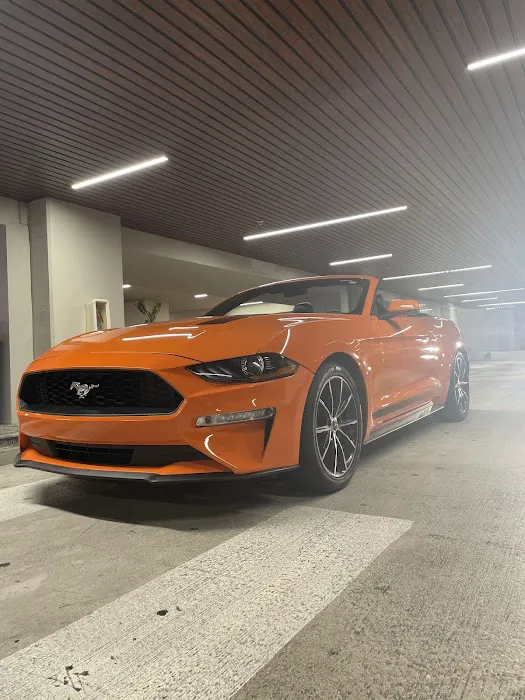LUCIO CAR RENTAL MIAMI Picture 5