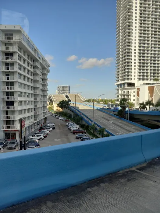 Drivers Rent a Car - Miami Picture 5