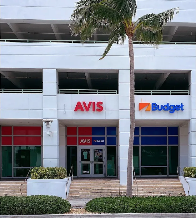 Avis Car Rental Picture 3