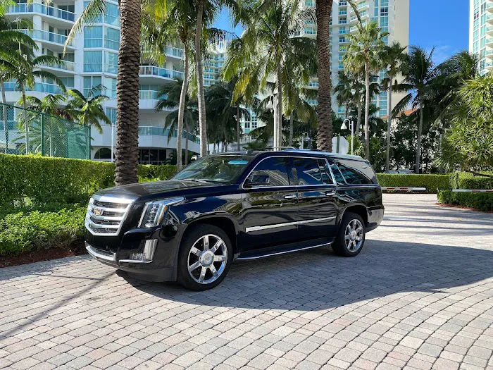 VamGroup Car Rental Picture 4