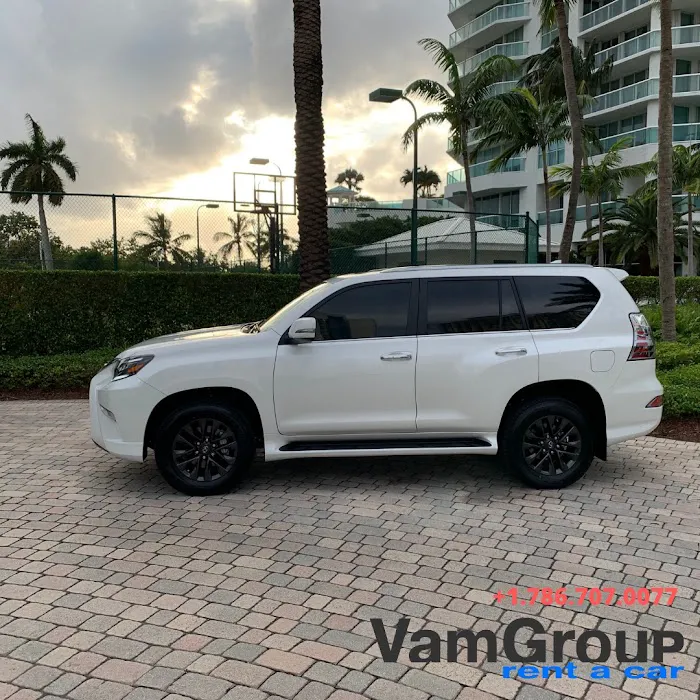 VamGroup Car Rental Picture 10