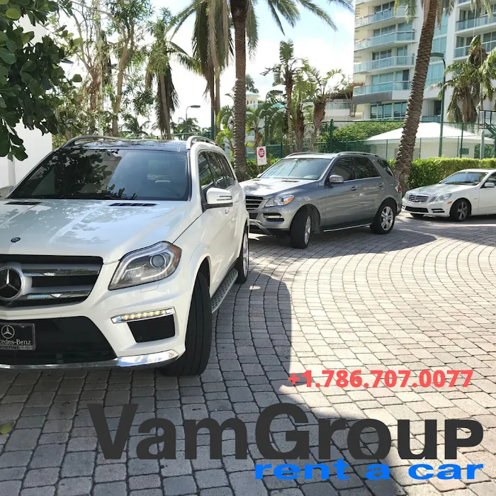 VamGroup Car Rental Picture 6