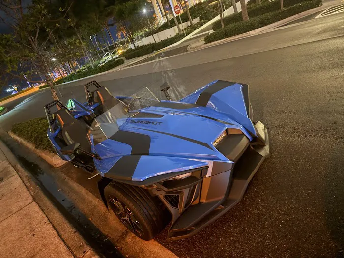 Ryde Out Slingshots Picture 5
