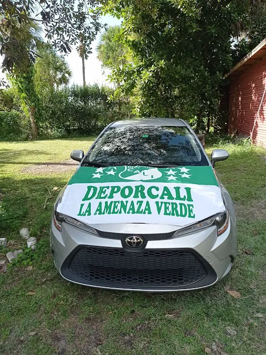 Super Nice Rent a Car | Alquiler de Carros En Fort Lauderdale Picture 8