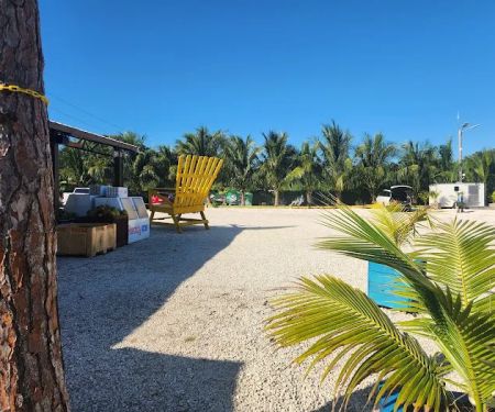 Miami Vice Rentals