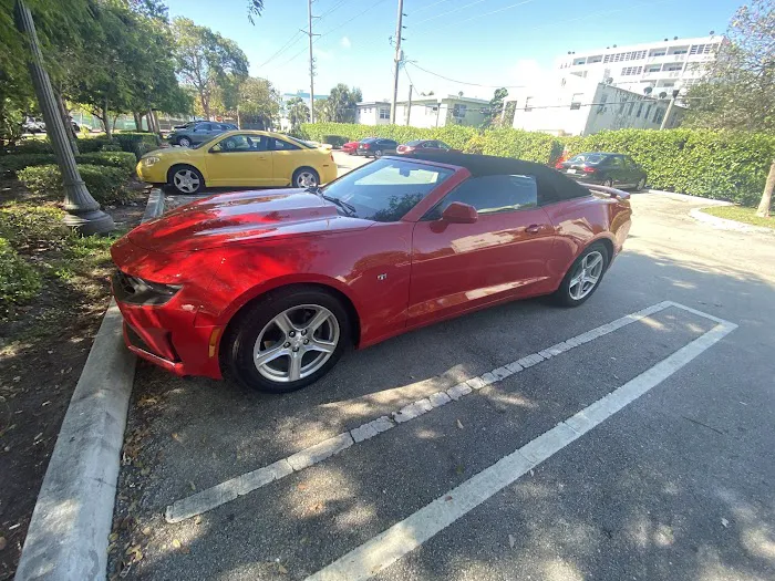 Mr Economy/Luxury Car Rental Picture 4