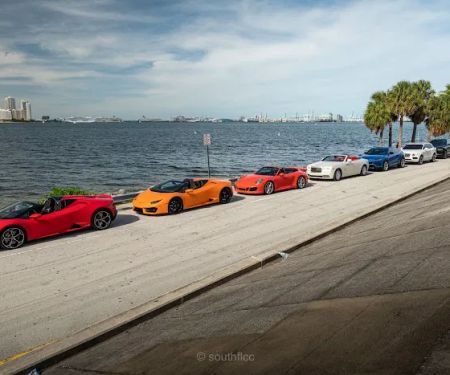 Panda Exotic Car Rentals