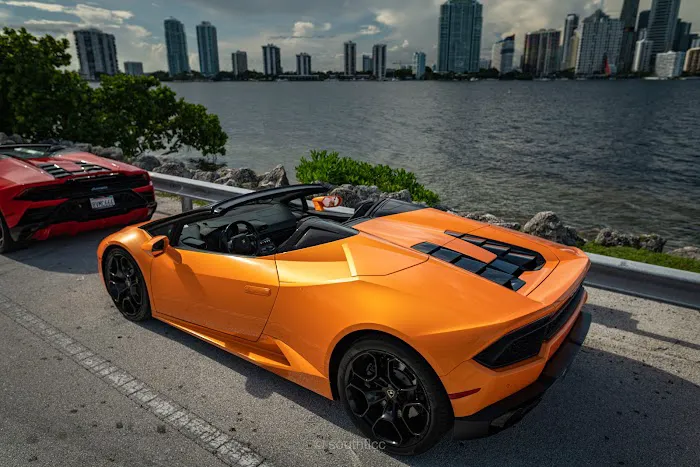 Panda Exotic Car Rentals Picture 3