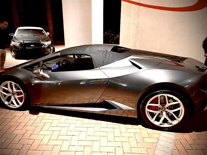 Panda Exotic Car Rentals Picture 10