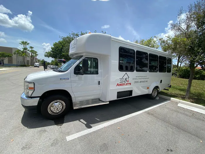 Angelet's Non- Emergency Wheelchair Transport Picture 1