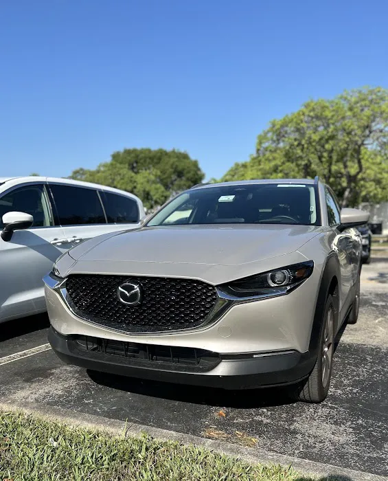 Budget Car Rental Picture 3