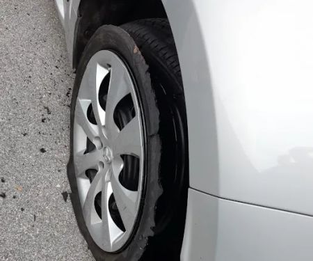 Avis Car Rental