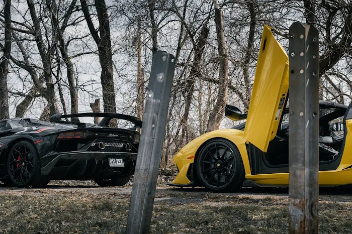 DS Luxury Exotic Car Members Club Picture 2