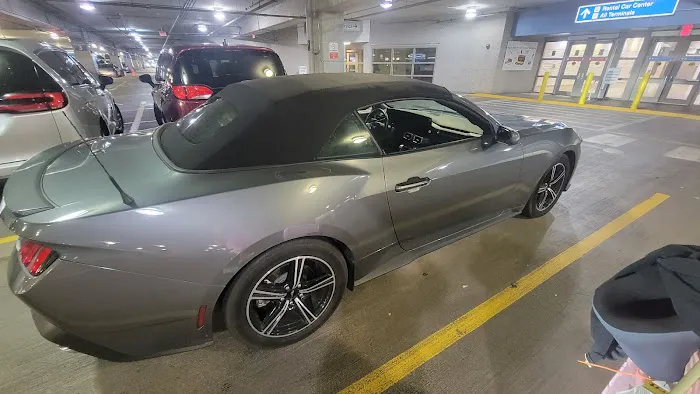 Alamo Rent A Car Picture 1