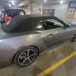 Alamo Rent A Car