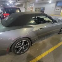 Alamo Rent A Car ico