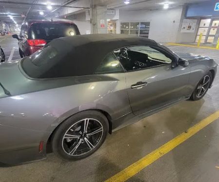 Alamo Rent A Car